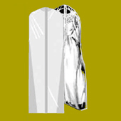 Dress travel bag