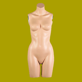 manikin system